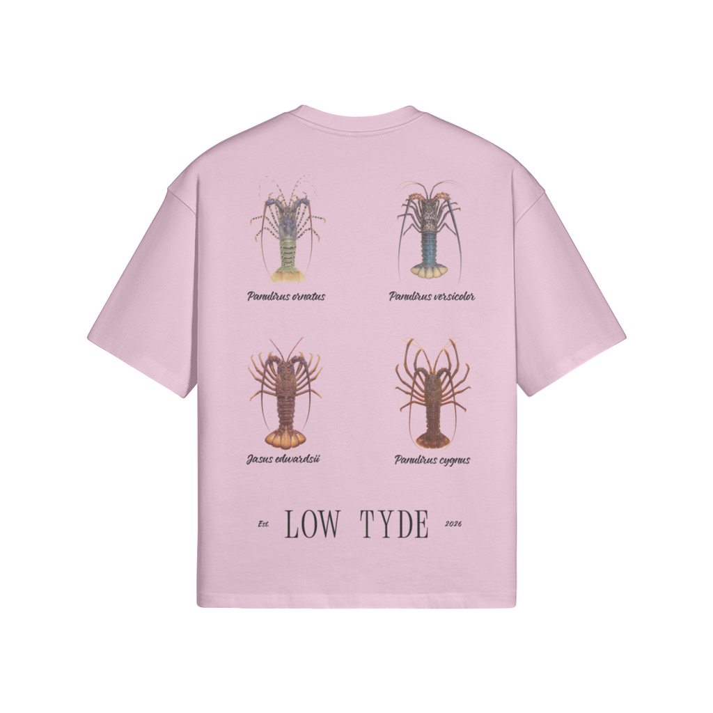 0-YBC-Back Side