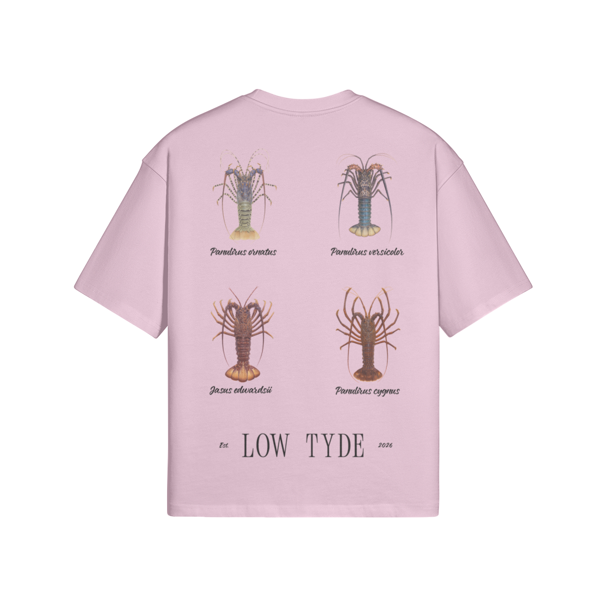 0-YBC-Back Side