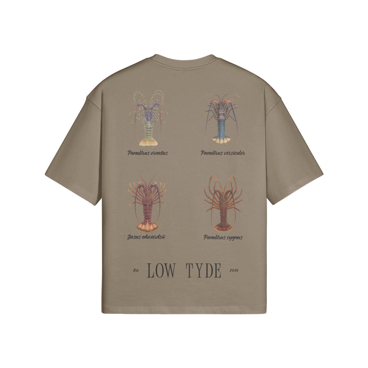 0-YB7-Back Side