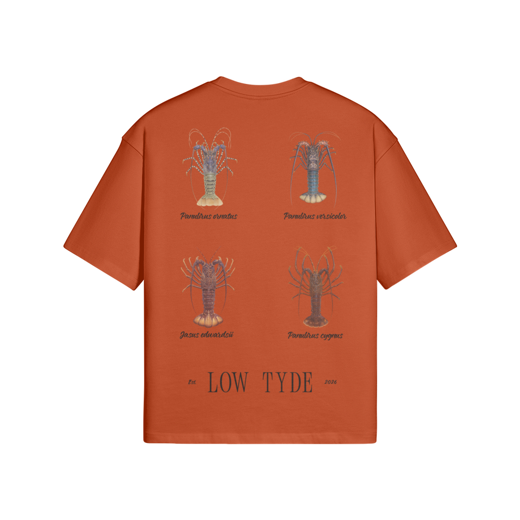 0-YBE-Back Side